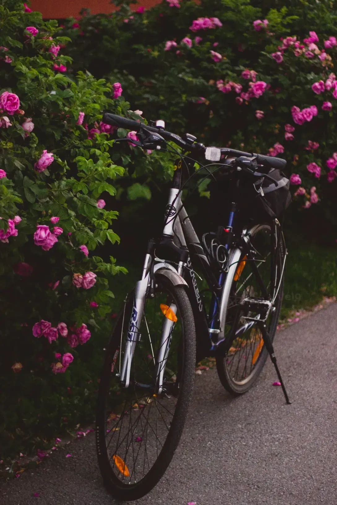 Quel vélo choisir selon vos trajets en ville ?