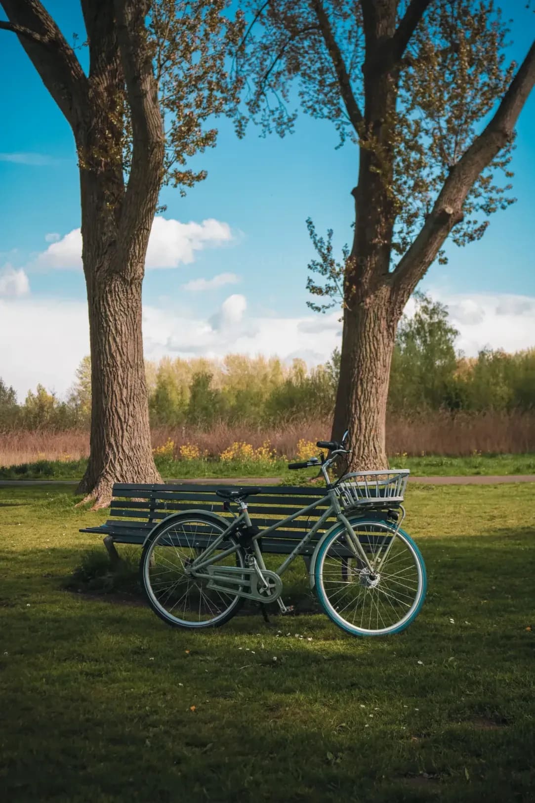 L'Atelier à Vélo 1
