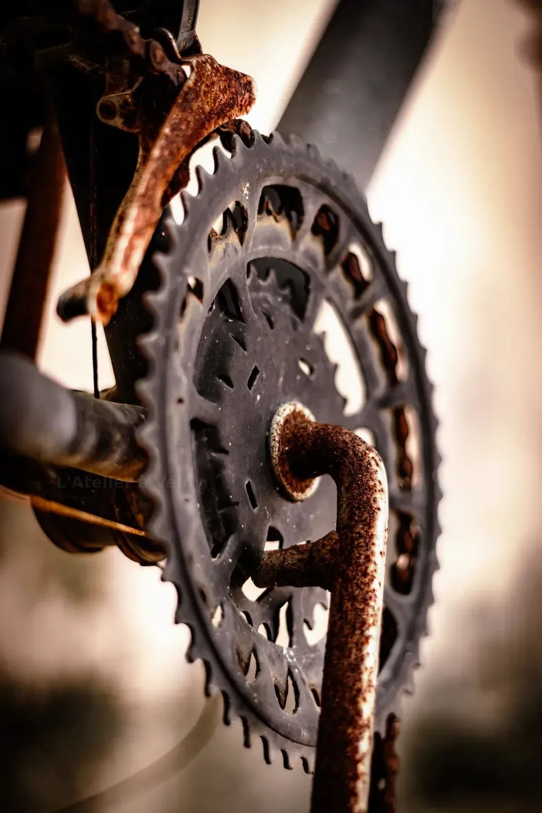 L'Atelier à Vélo 4