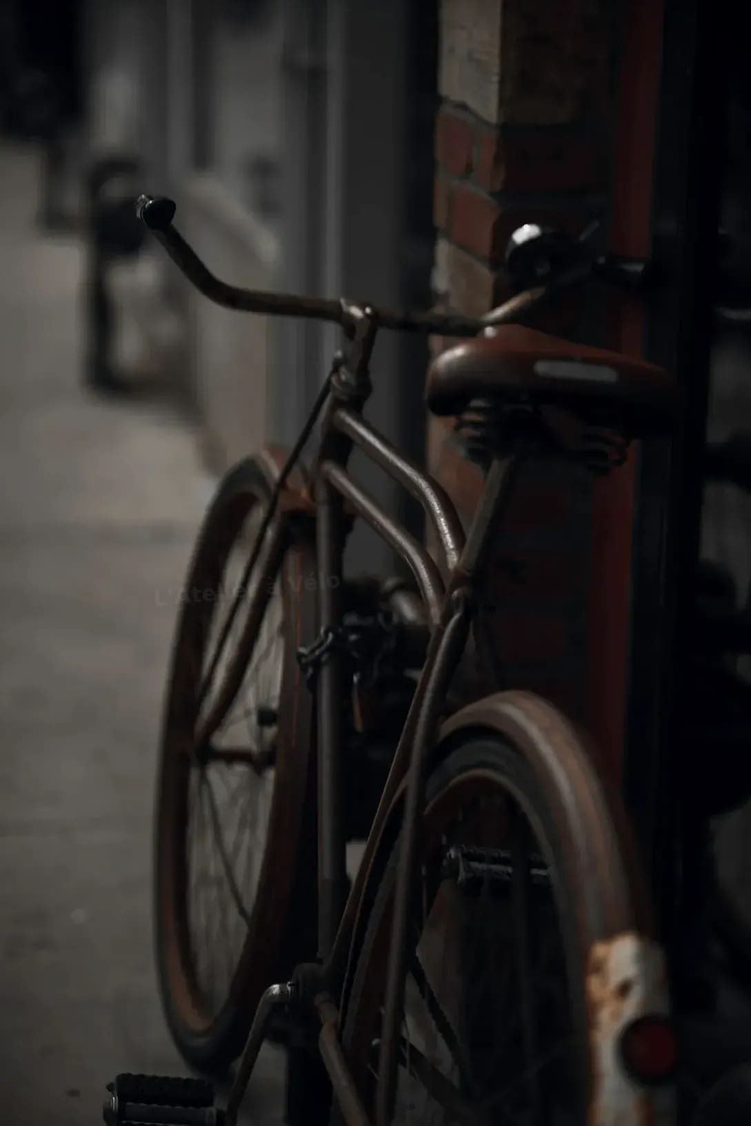 L'Atelier à Vélo 6